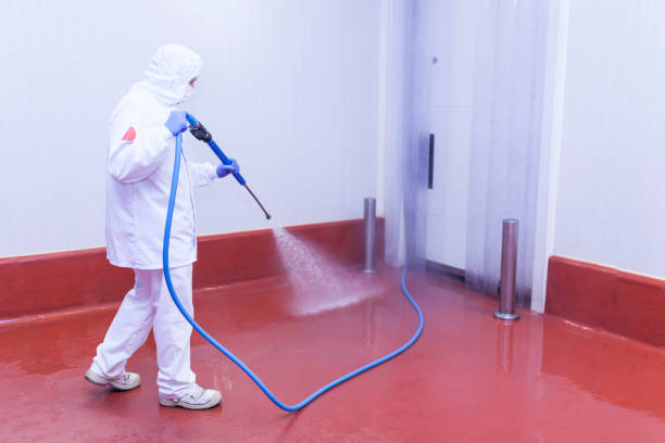 Best Paint Preparation  in University Park, MD